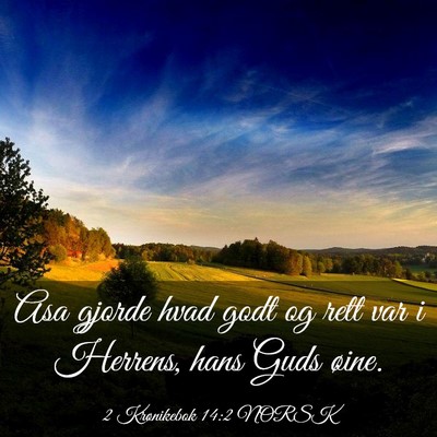 Picture 03 - 2 Krønikebok 14:2 NORSK - Asa gjorde hvad godt og rett var i Herrens, hans - Bible Verse Picture