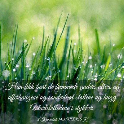 Picture 03 - 2 Krønikebok 14:3 NORSK - Han fikk bort de fremmede guders altere og - Bible Verse Picture