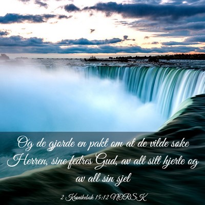 Picture 03 - 2 Krønikebok 15:12 NORSK - Og de gjorde en pakt om at de vilde søke Herren, - Bible Verse Picture
