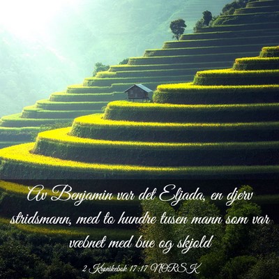 Picture 03 - 2 Krønikebok 17:17 NORSK - Av Benjamin var det Eljada, en djerv stridsmann, - Bible Verse Picture