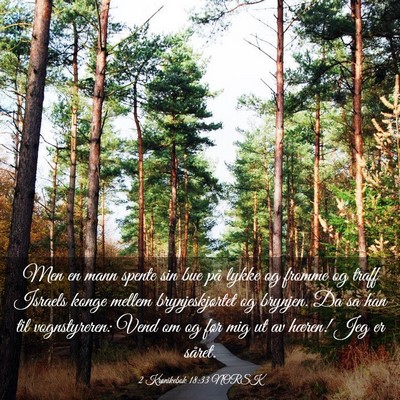 Picture 03 - 2 Krønikebok 18:33 NORSK - Men en mann spente sin bue på lykke og fromme og - Bible Verse Picture
