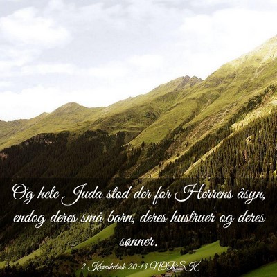 Picture 03 - 2 Krønikebok 20:13 NORSK - Og hele Juda stod der for Herrens åsyn, endog - Bible Verse Picture