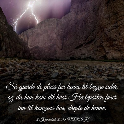 Picture 03 - 2 Krønikebok 23:15 NORSK - Så gjorde de plass for henne til begge sider, og - Bible Verse Picture
