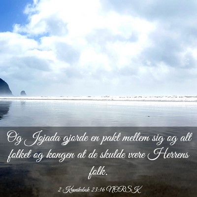 Picture 03 - 2 Krønikebok 23:16 NORSK - Og Jojada gjorde en pakt mellem sig og alt folket - Bible Verse Picture