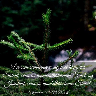 Picture 03 - 2 Krønikebok 24:26 NORSK - De som sammensvor sig mot ham, var Sabad, sønn - Bible Verse Picture