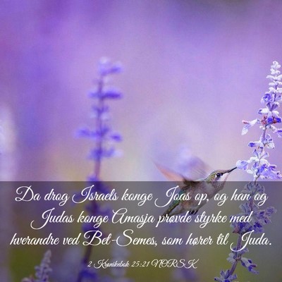 Picture 03 - 2 Krønikebok 25:21 NORSK - Da drog Israels konge Joas op, og han og Judas - Bible Verse Picture