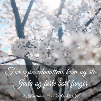 Picture 03 - 2 Krønikebok 28:17 NORSK - For også edomittene kom og slo Juda og førte - Bible Verse Picture
