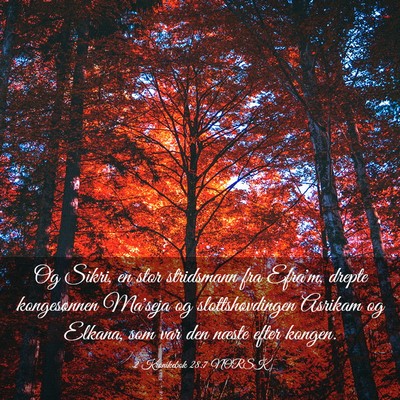 Picture 03 - 2 Krønikebok 28:7 NORSK - Og Sikri, en stor stridsmann fra Efra'm, drepte - Bible Verse Picture
