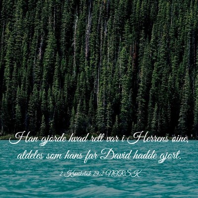 Picture 03 - 2 Krønikebok 29:2 NORSK - Han gjorde hvad rett var i Herrens øine, aldeles - Bible Verse Picture