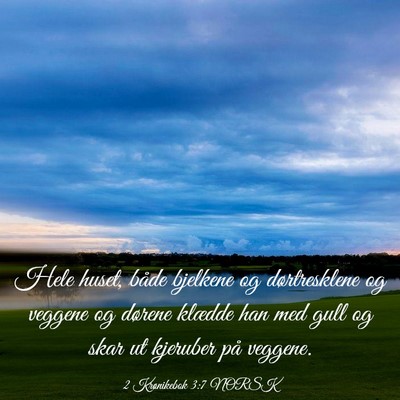 Picture 03 - 2 Krønikebok 3:7 NORSK - Hele huset, både bjelkene og dørtresklene og - Bible Verse Picture