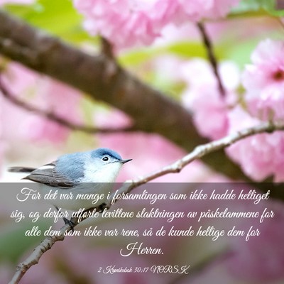 Picture 03 - 2 Krønikebok 30:17 NORSK - For det var mange i forsamlingen som ikke hadde - Bible Verse Picture