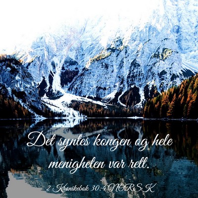 Picture 03 - 2 Krønikebok 30:4 NORSK - Det syntes kongen og hele menigheten var - Bible Verse Picture