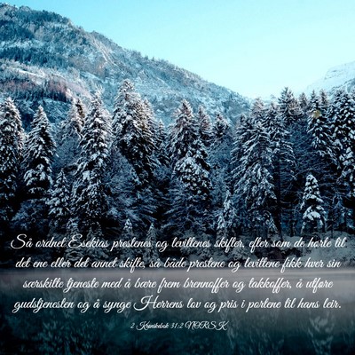 Picture 03 - 2 Krønikebok 31:2 NORSK - Så ordnet Esekias prestenes og levittenes - Bible Verse Picture