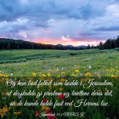 Picture 03 - 2 Krønikebok 31:4 NORSK - Og han bød folket som bodde i Jerusalem, at de - Bible Verse Picture