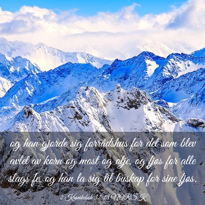 Picture 03 - 2 Krønikebok 32:28 NORSK - og han gjorde sig forrådshus for det som blev - Bible Verse Picture