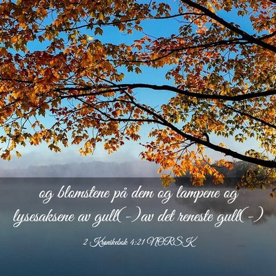 Picture 03 - 2 Krønikebok 4:21 NORSK - og blomstene på dem og lampene og lysesaksene av - Bible Verse Picture