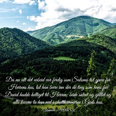 Picture 03 - 2 Krønikebok 5:1 NORSK - Da nu alt det arbeid var ferdig som Salomo lot - Bible Verse Picture