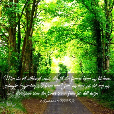 Picture 03 - 2 Krønikebok 6:19 NORSK - Men du vil allikevel vende dig til din tjeners - Bible Verse Picture