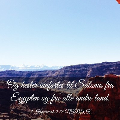 Picture 03 - 2 Krønikebok 9:28 NORSK - Og hester innførtes til Salomo fra Egypten og - Bible Verse Picture