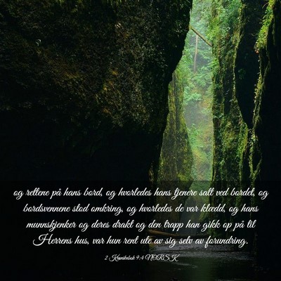Picture 03 - 2 Krønikebok 9:4 NORSK - og rettene på hans bord, og hvorledes hans - Bible Verse Picture