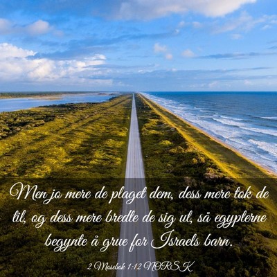 Picture 03 - 2 Mosebok 1:12 NORSK - Men jo mere de plaget dem, dess mere tok de til, - Bible Verse Picture