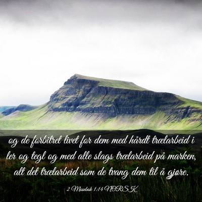 Picture 03 - 2 Mosebok 1:14 NORSK - og de forbitret livet for dem med hårdt - Bible Verse Picture