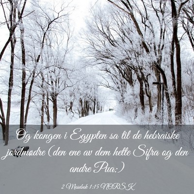 Picture 03 - 2 Mosebok 1:15 NORSK - Og kongen i Egypten sa til de hebraiske - Bible Verse Picture