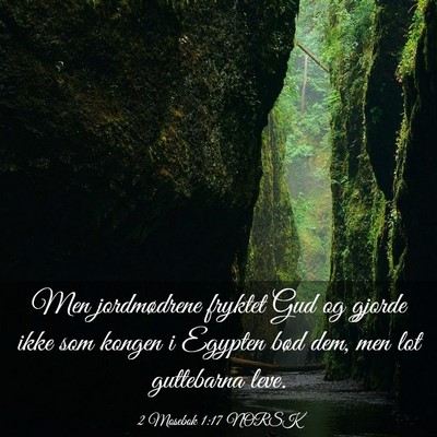 Picture 03 - 2 Mosebok 1:17 NORSK - Men jordmødrene fryktet Gud og gjorde ikke som - Bible Verse Picture