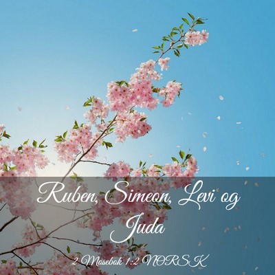 Picture 03 - 2 Mosebok 1:2 NORSK - Ruben, Simeon, Levi og - Bible Verse Picture