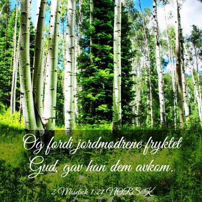 Picture 03 - 2 Mosebok 1:21 NORSK - Og fordi jordmødrene fryktet Gud, gav han dem - Bible Verse Picture