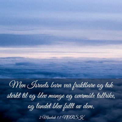 Picture 03 - 2 Mosebok 1:7 NORSK - Men Israels barn var fruktbare og tok sterkt til - Bible Verse Picture