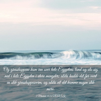 Picture 03 - 2 Mosebok 10:14 NORSK - Og gresshoppene kom inn over hele Egyptens land - Bible Verse Picture