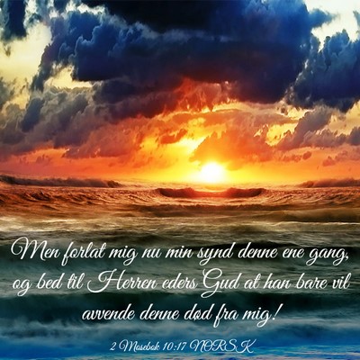 Picture 03 - 2 Mosebok 10:17 NORSK - Men forlat mig nu min synd denne ene gang, og bed - Bible Verse Picture