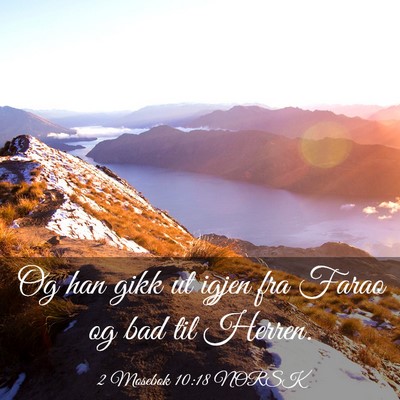 Picture 03 - 2 Mosebok 10:18 NORSK - Og han gikk ut igjen fra Farao og bad til - Bible Verse Picture
