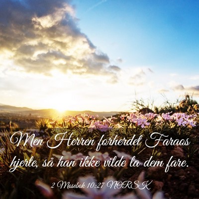 Picture 03 - 2 Mosebok 10:27 NORSK - Men Herren forherdet Faraos hjerte, så han ikke - Bible Verse Picture