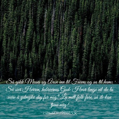 Picture 03 - 2 Mosebok 10:3 NORSK - Så gikk Moses og Aron inn til Farao og sa til - Bible Verse Picture