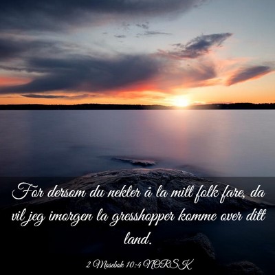 Picture 03 - 2 Mosebok 10:4 NORSK - For dersom du nekter å la mitt folk fare, da vil - Bible Verse Picture