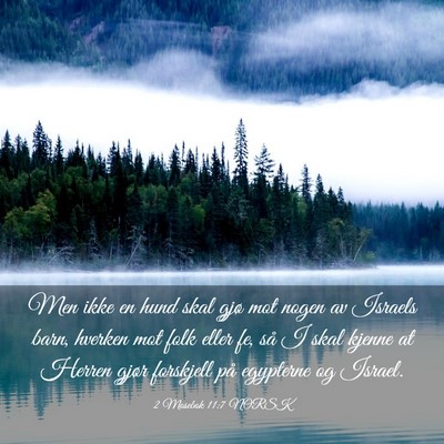 Picture 03 - 2 Mosebok 11:7 NORSK - Men ikke en hund skal gjø mot nogen av Israels - Bible Verse Picture