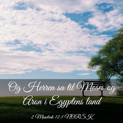Picture 03 - 2 Mosebok 12:1 NORSK - Og Herren sa til Moses og Aron i Egyptens - Bible Verse Picture