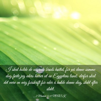 Picture 03 - 2 Mosebok 12:17 NORSK - I skal holde de usyrede brøds høitid, for på - Bible Verse Picture