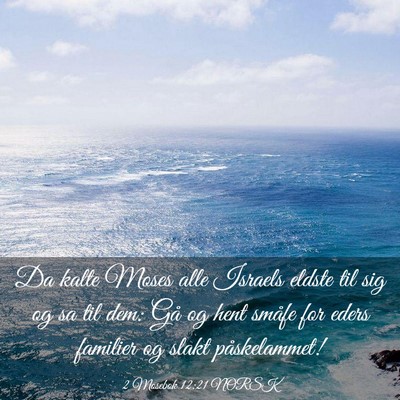 Picture 03 - 2 Mosebok 12:21 NORSK - Da kalte Moses alle Israels eldste til sig og sa - Bible Verse Picture