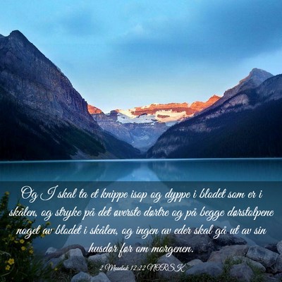 Picture 03 - 2 Mosebok 12:22 NORSK - Og I skal ta et knippe isop og dyppe i blodet som - Bible Verse Picture