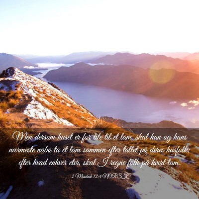 Picture 03 - 2 Mosebok 12:4 NORSK - Men dersom huset er for lite til et lam, skal han - Bible Verse Picture