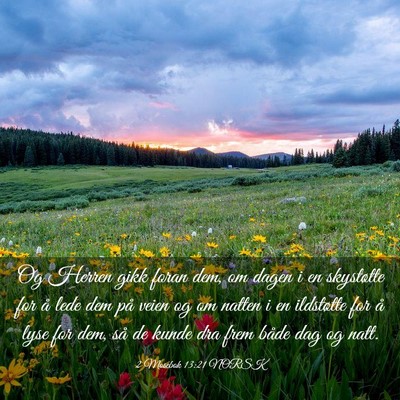 Picture 03 - 2 Mosebok 13:21 NORSK - Og Herren gikk foran dem, om dagen i en - Bible Verse Picture