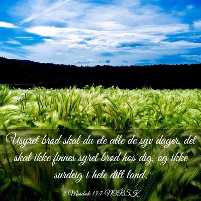 Picture 03 - 2 Mosebok 13:7 NORSK - Usyret brød skal du ete alle de syv dager, det - Bible Verse Picture