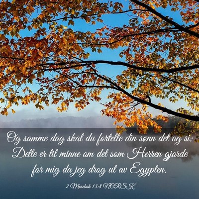 Picture 03 - 2 Mosebok 13:8 NORSK - Og samme dag skal du fortelle din sønn det og - Bible Verse Picture