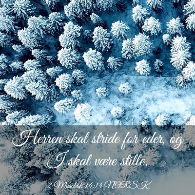 Picture 03 - 2 Mosebok 14:14 NORSK - Herren skal stride for eder, og I skal være - Bible Verse Picture