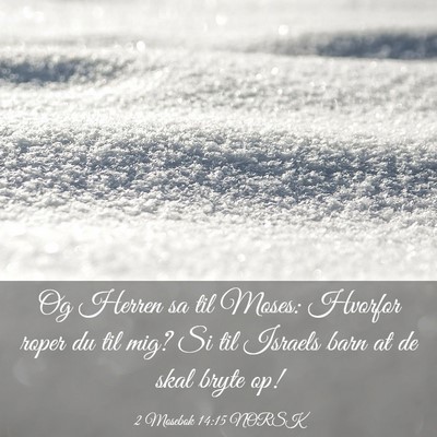 Picture 03 - 2 Mosebok 14:15 NORSK - Og Herren sa til Moses: Hvorfor roper du til mig? - Bible Verse Picture