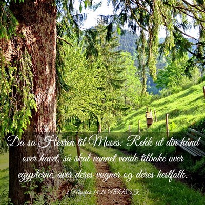 Picture 03 - 2 Mosebok 14:26 NORSK - Da sa Herren til Moses: Rekk ut din hånd over - Bible Verse Picture