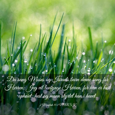 Picture 03 - 2 Mosebok 15:1 NORSK - Da sang Moses og Israels barn denne sang for - Bible Verse Picture